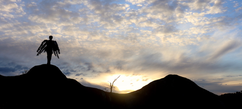 Follow the Angel #Alba