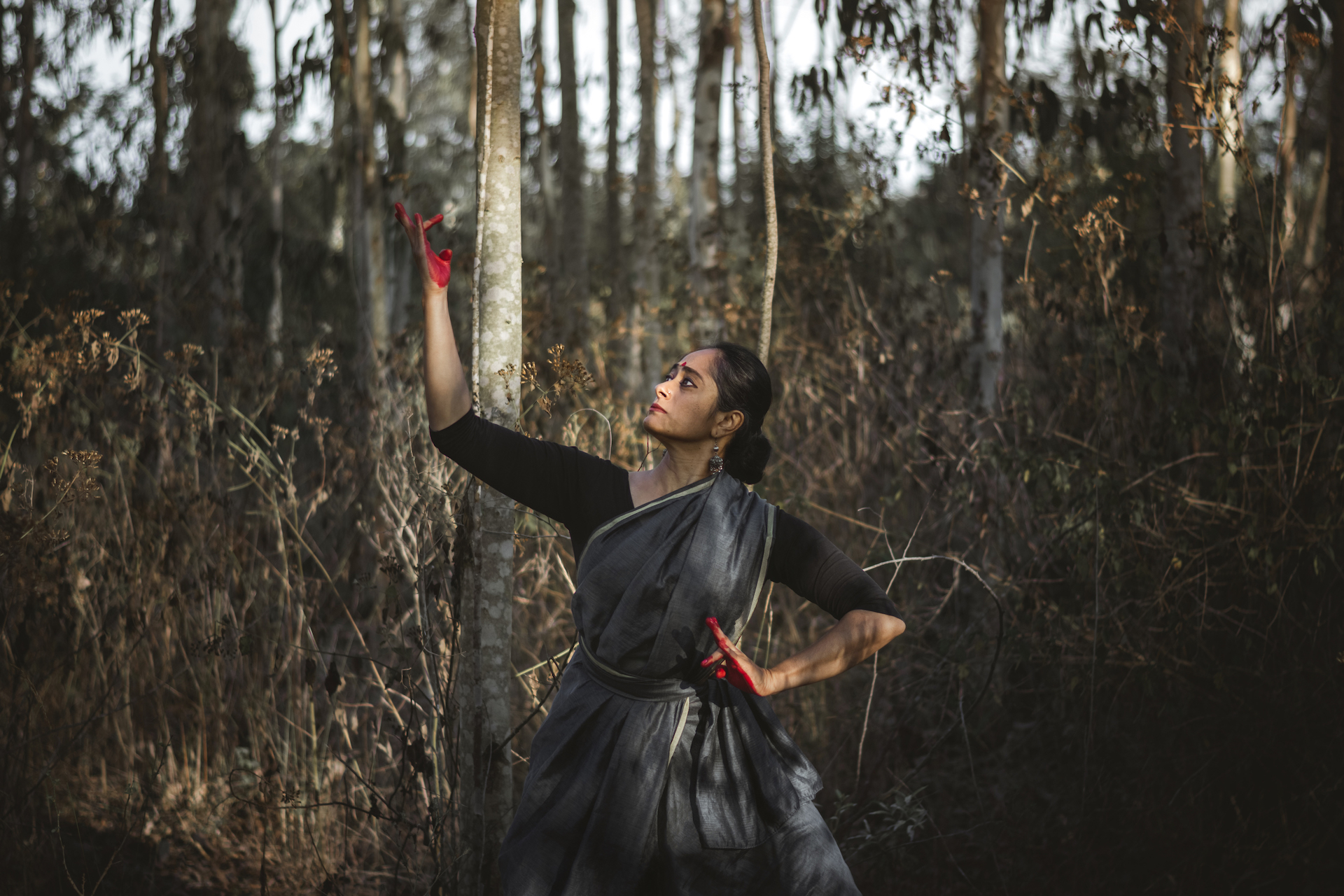 Gestures and beyond – the world of Bharatanatyam